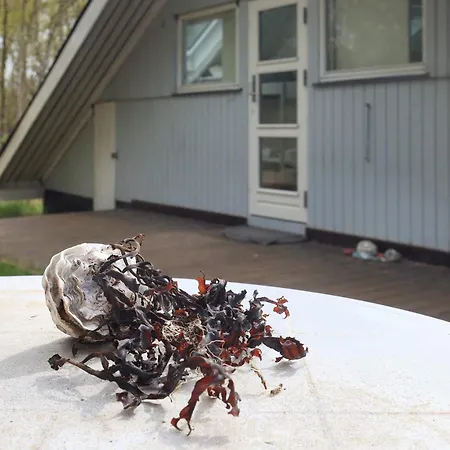 6 Person In Laeso-by Traum Dom wakacyjny *