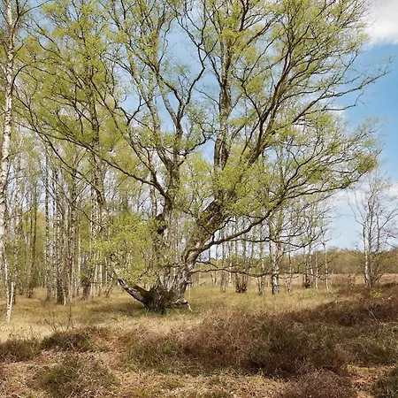 6 Person In Laeso-by Traum Laeso