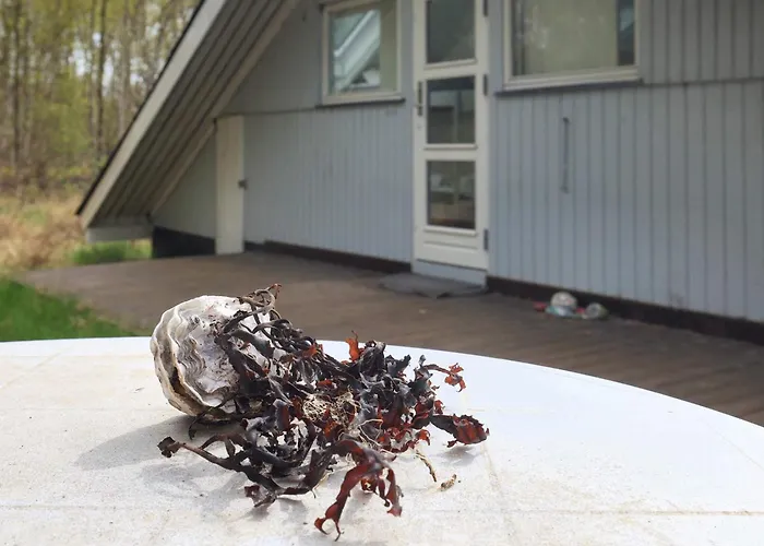 6 Person In Laeso-by Traum בית נופש *