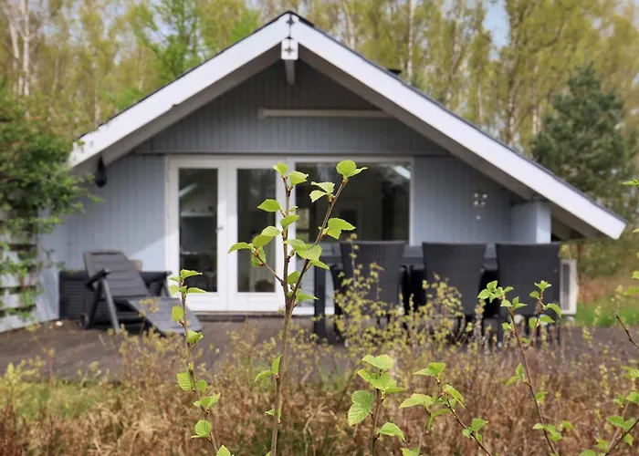 6 Person In Laeso-by Traum *