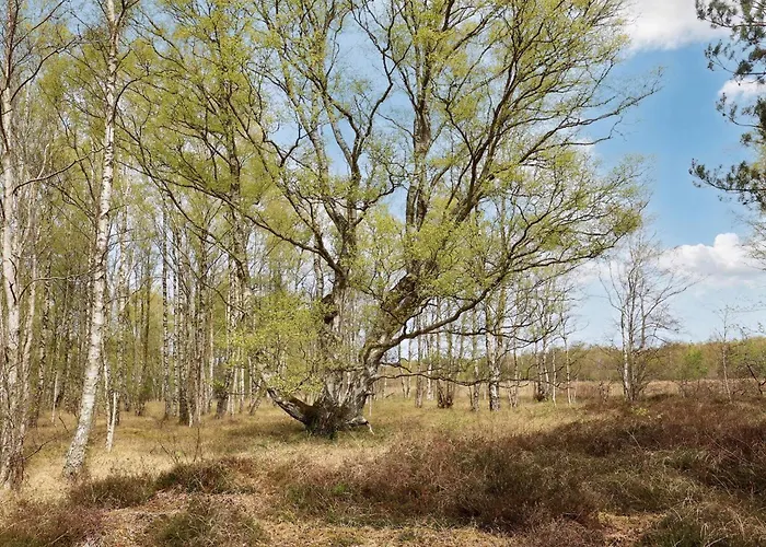 6 Person In Laeso-by Traum Laeso